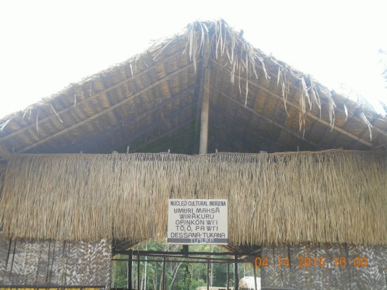 NÃºcleo Cultural IndÃ­gena -  Amazonas