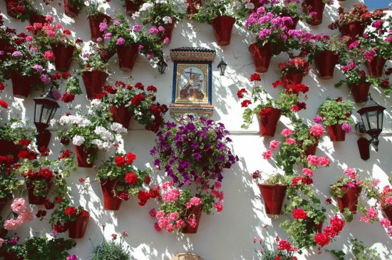 Patio de CÃ³rdoba. EspaÃ±a