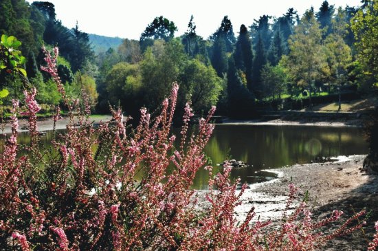 Comarca de Pontevedra. Galicia. EspaÃ±a