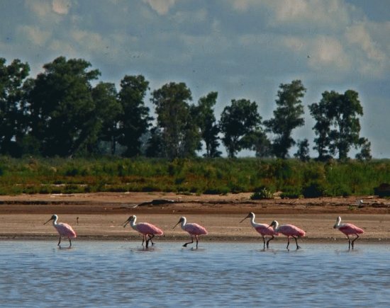 Mar Chiquita. CÃ³rdoba. Argentina