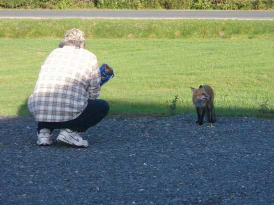 ...and have a little bite to eat!