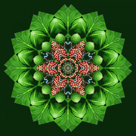 mandala