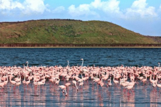 lamarca salt lakes