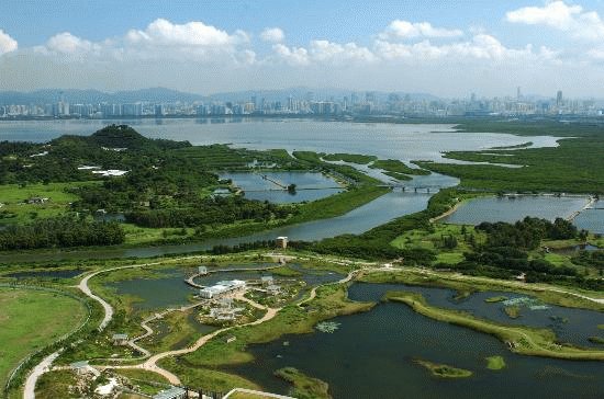 wetland park