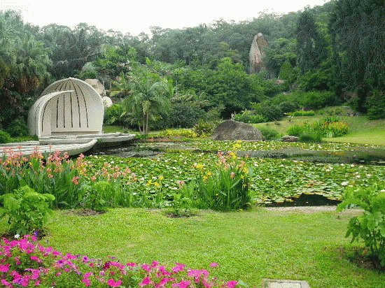 botanical garden