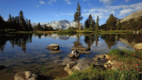 Country Water Scene