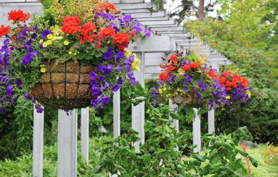 Gorgeous Hanging Flower Baskets