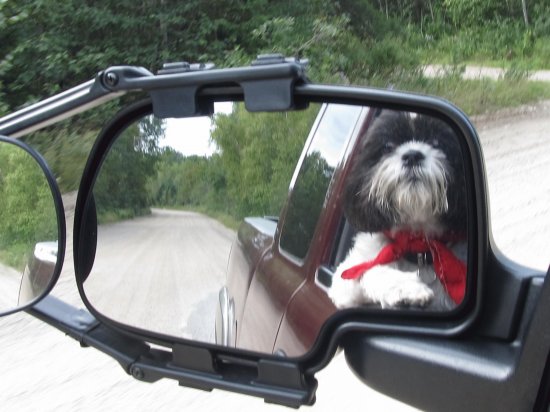 Hangin ' out with my dad driving through the woods