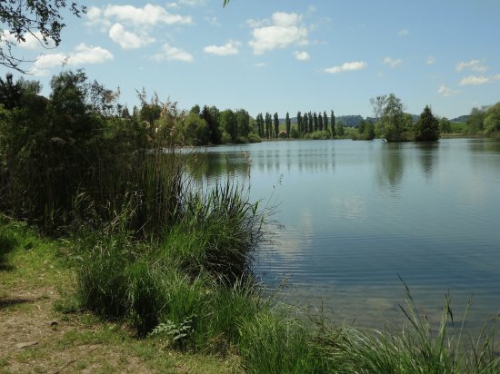 Bettenauer Weiher SG