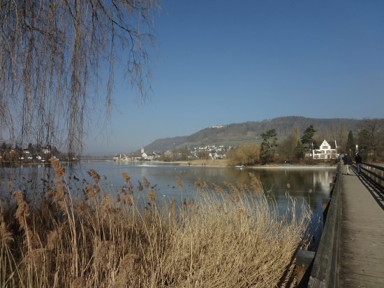 Insel Werd mit Kloster