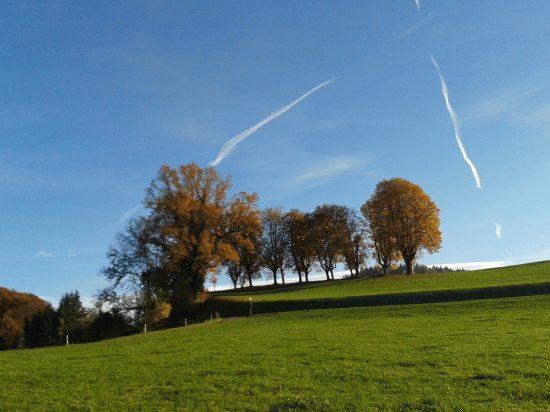 Herbst in Magdenau