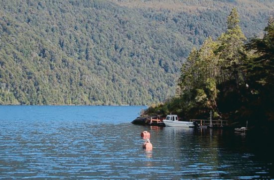 En el PN Los Alerces. Chubut. Argentina