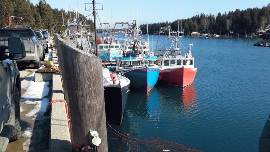 Head Harbour Campobello Island