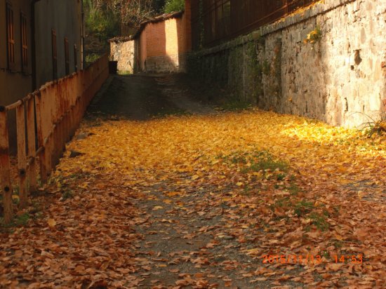 AUTUNNO COSSILA