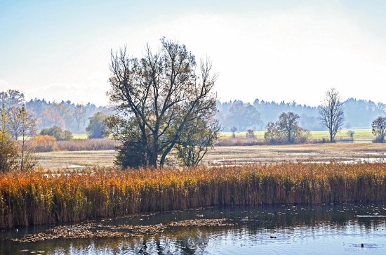 Reusslandschaft