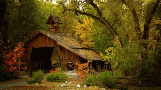 Bosque encantado