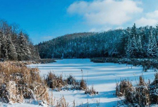 Winter landscape