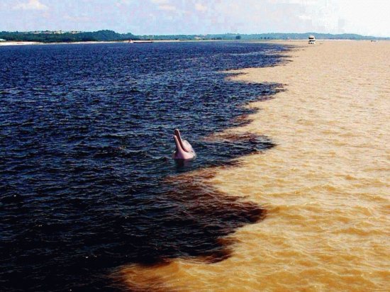 Encuentro entre RÃ­o Orinoco y RÃ­o CaronÃ­