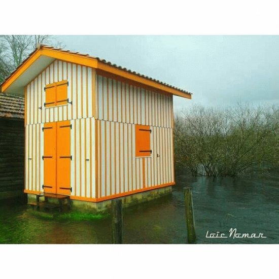 Cabane les pieds dans l 'eau