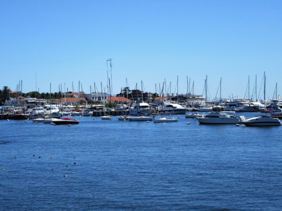 Yates en Punta del Este, Uruguay.