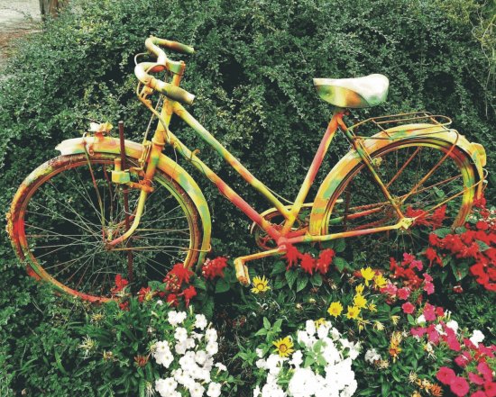 Bicycles with flowers