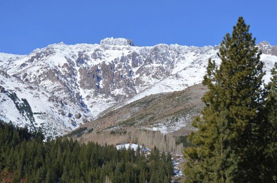 neuquen argentina