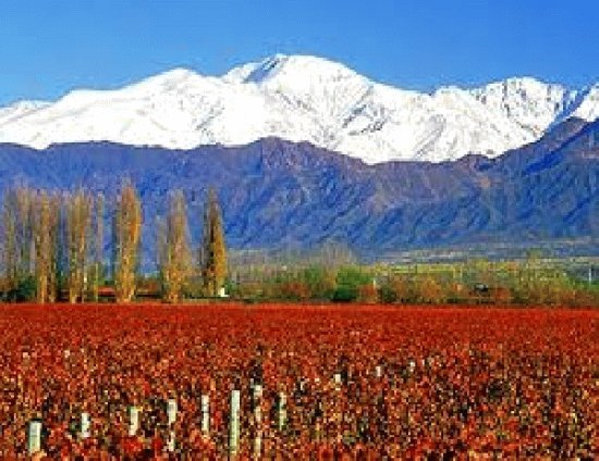 mendoza argentina