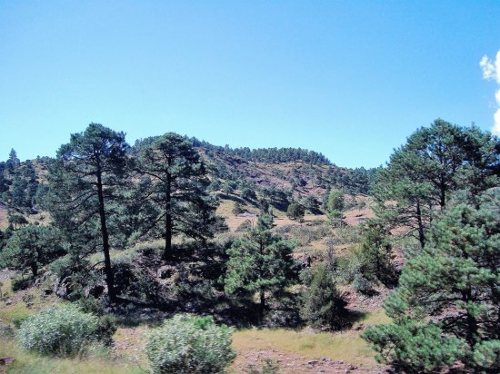 Sierra Tarahumara, MÃ©xico.