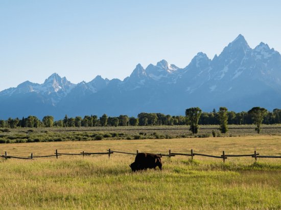 Rockies