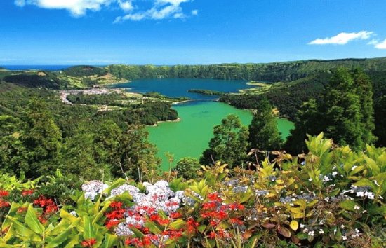 paysage en bleu vert