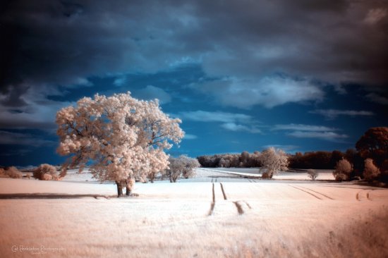 Farm fields infrared