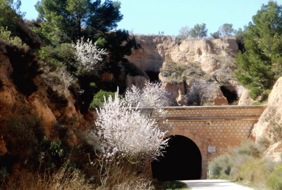 via verde-alcoy