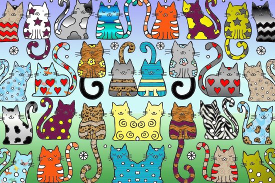 Cats of many colours