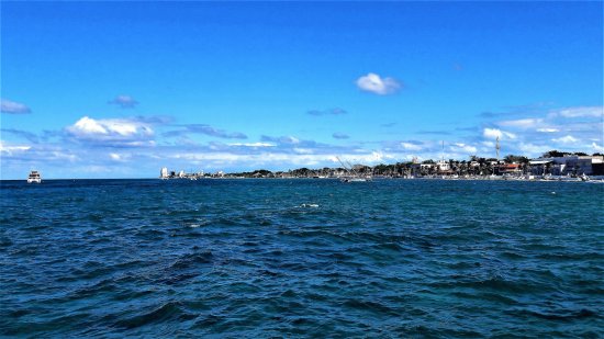 Isla de Cozumel, Quintana Roo.