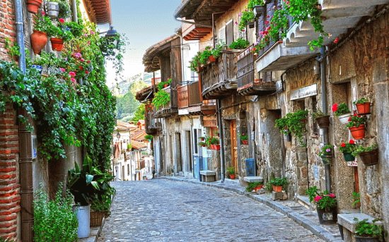 Street - Houses