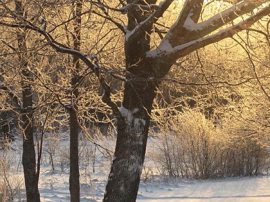 Frosty sunrise