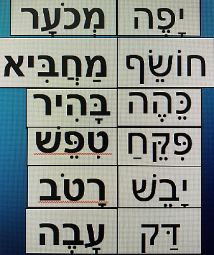 ×™×¤×”