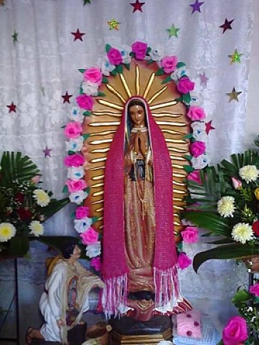 La rosa de Guadalupe