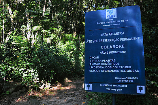 Floresta da Tijuca - Rio de Janeiro