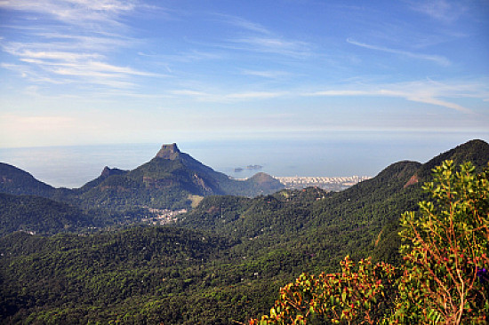 Floresta da Tijuca - Rio de Janeiro