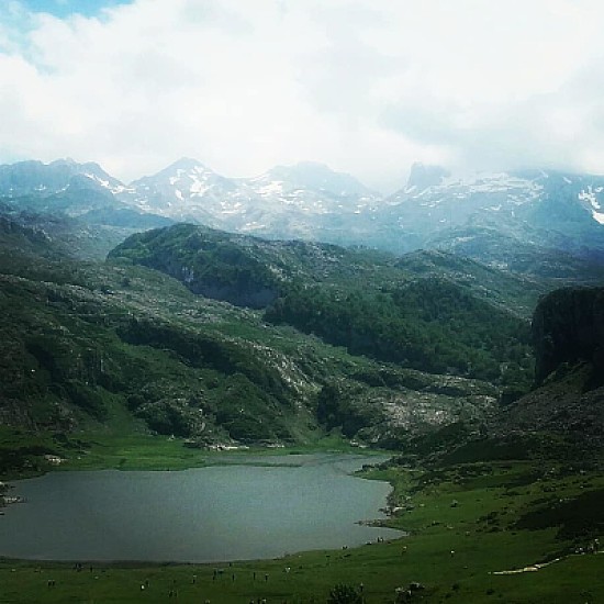 lagos  de  covadonga