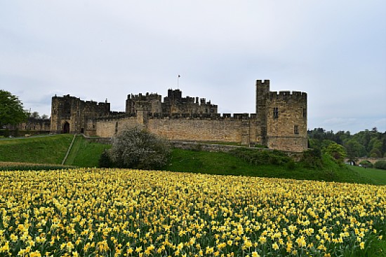 Alnwick Castle, Northumberland, England