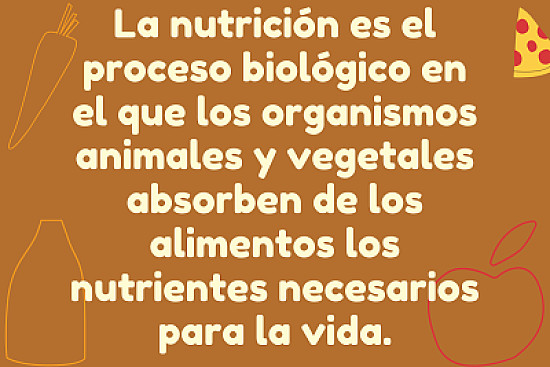 la nutriciÃ³n