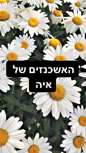 ×”××©×›× ×–×™× ×©×œ ××™×”