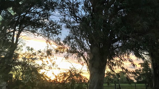 Amanecer en el campo