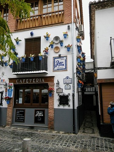 Las macetas de granada