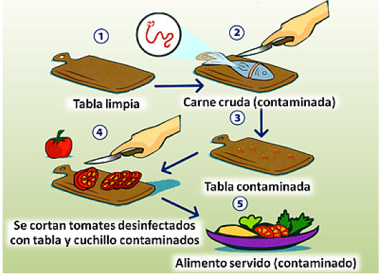 higiene y manipulacion