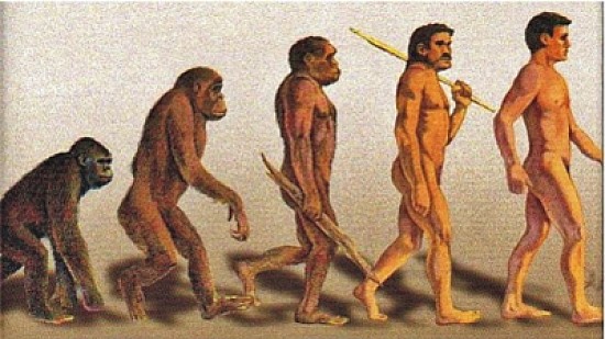 ORIGEN SER HUMANO