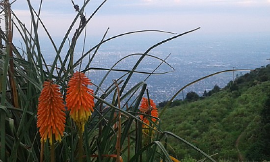 Cerro San Javier-TucumÃ¡n