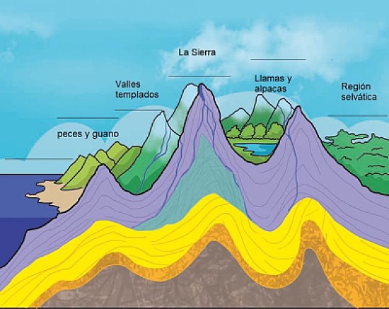 PISOS ECOLOGICOS